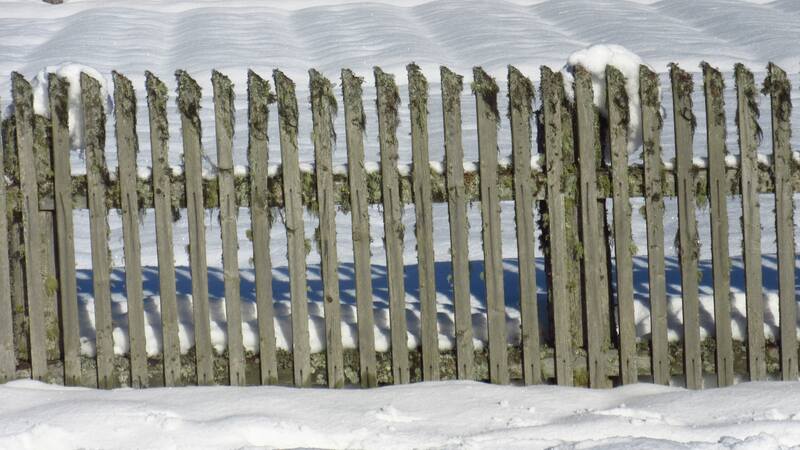 snow on fence