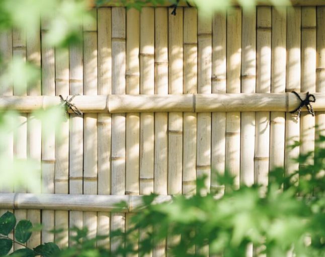 A beautiful bamboo fence of a lawn