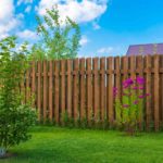 6 Eco-friendly Fencing Options