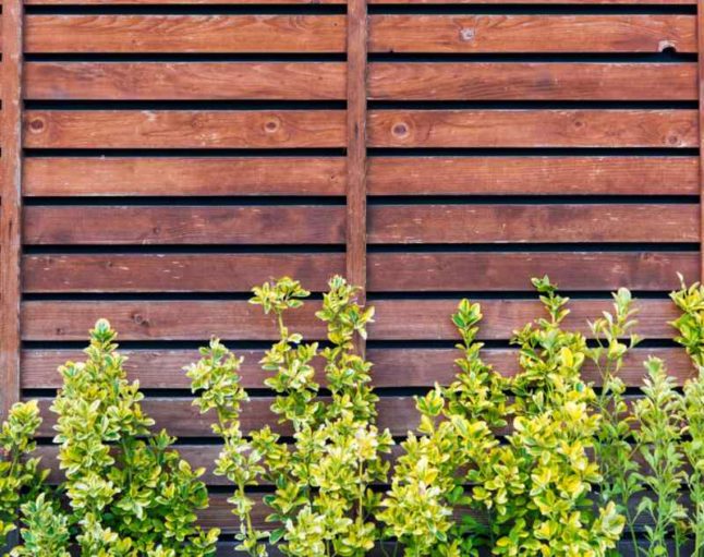 A beautiful wooden fence