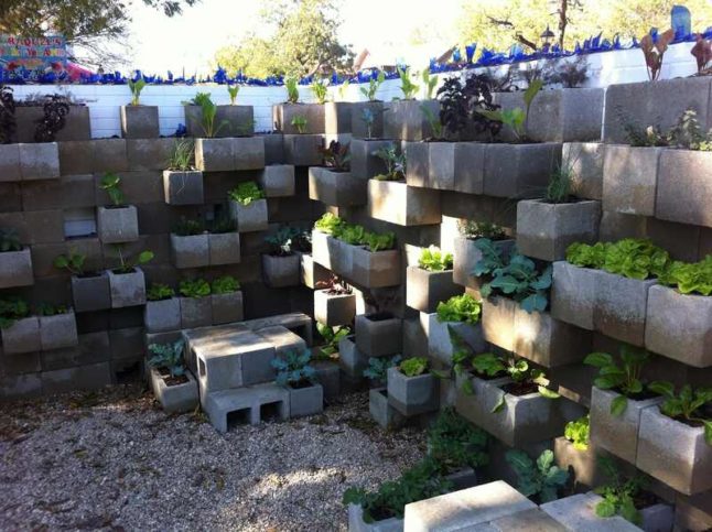 cinder block garden