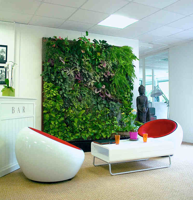 how to make a greenery wall