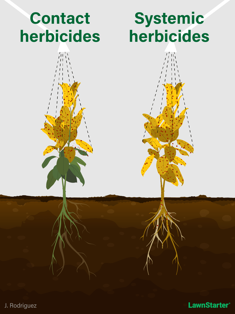 Herbicide-Illustration-LS-1
