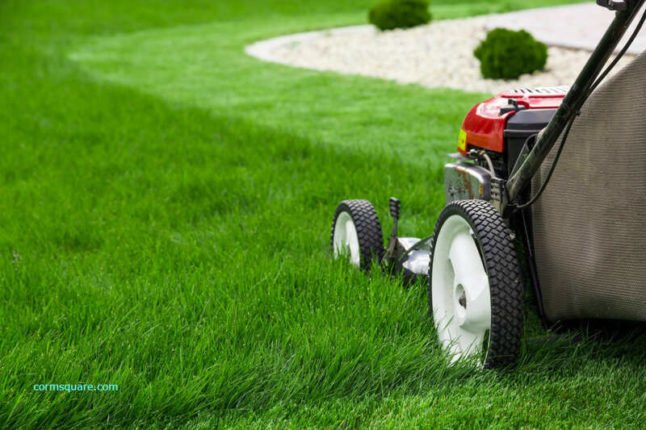 lawn mowing by lawn mower