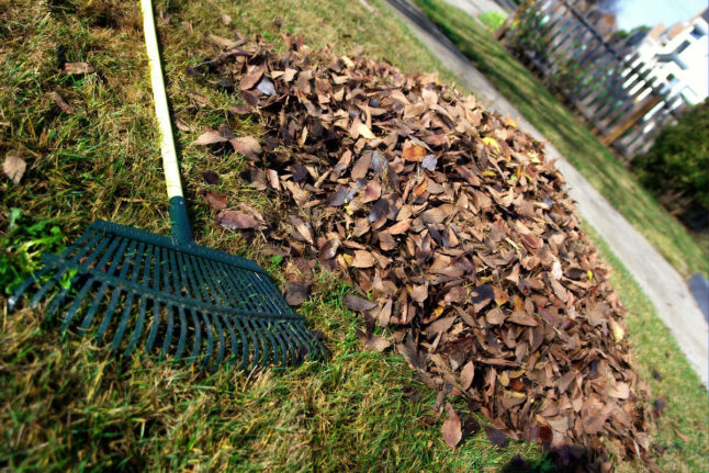 A leaf rake and a pile of leaves in autumn