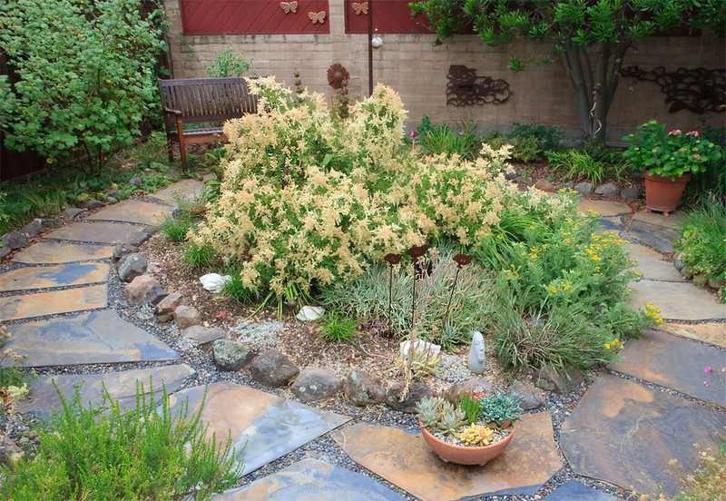 A backyard garden filled with native flowering plants and shrubs, featuring a large cream-colored blooming bush and natural stone pathways.