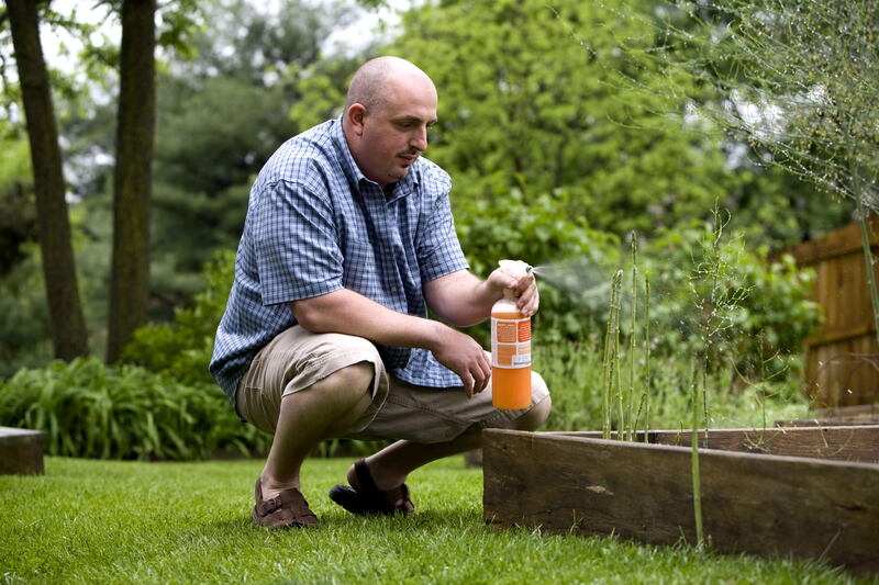 Man spraying insecticides on plants