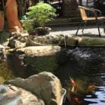How Much Does it Cost to Build a Pond in 2025?