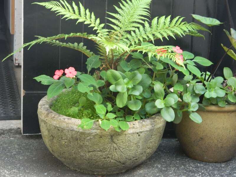 concrete pot in a house