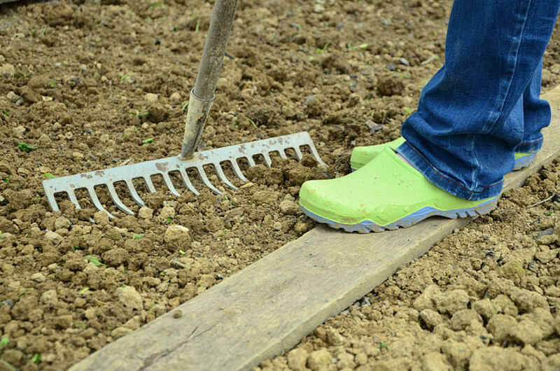 dethatching rake