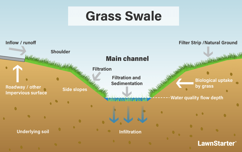 grass swale