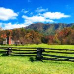 Types of Rail Fences