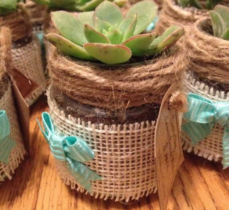 plant in burlap