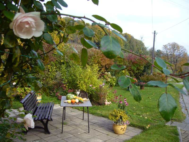 terrace garden