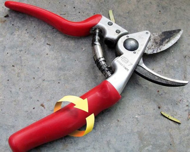 bypass pruner