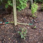 A Beginner’s Guide to Drip Irrigation Systems