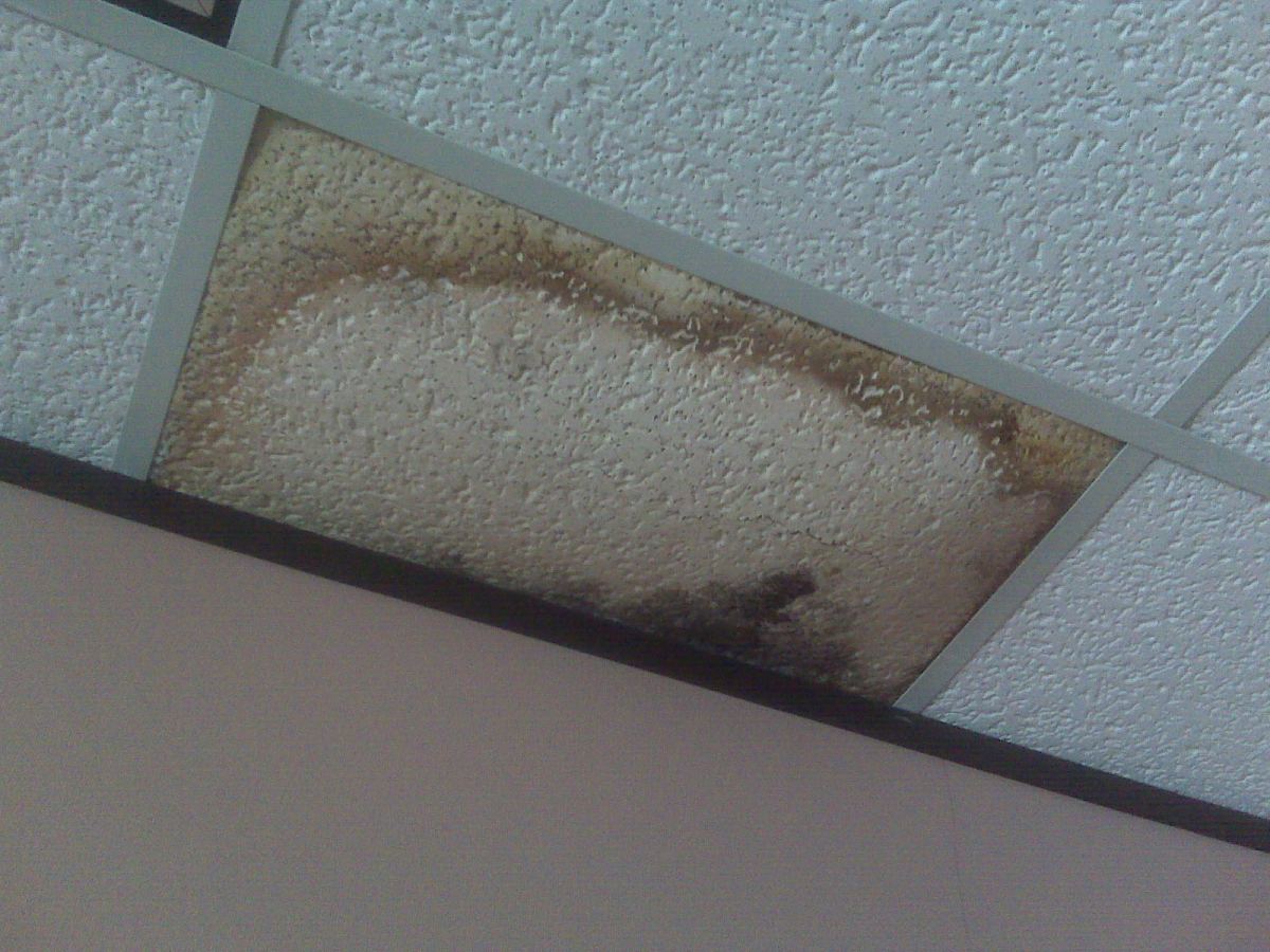 Ceiling damaged by water leak