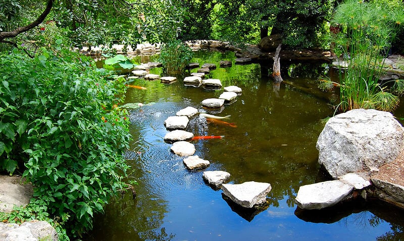 stepping stone koi pond