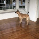 How Much Does Hardwood Flooring Cost in 2025?