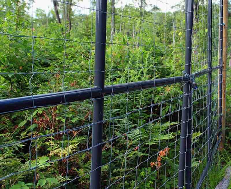 deer exclosure fence