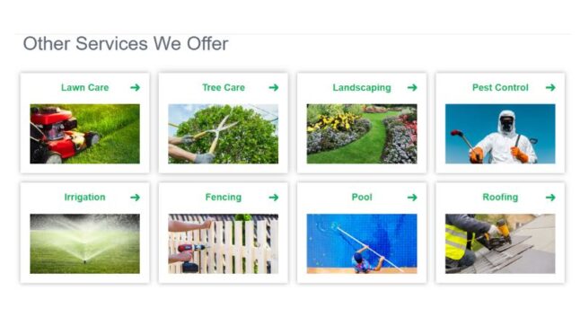 Screenshot showing additional services offered by LawnStarter