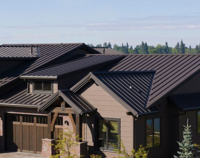 Metal roof home design