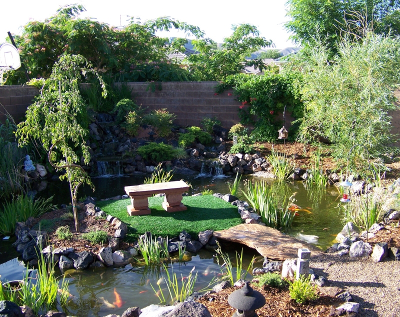 A Corner koi pond with many beautiful plants