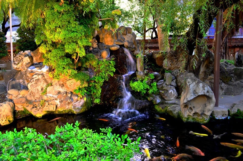 Waterfall koi pond