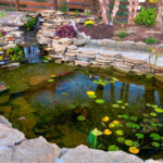 A Complete Guide to Koi Pond Maintenance