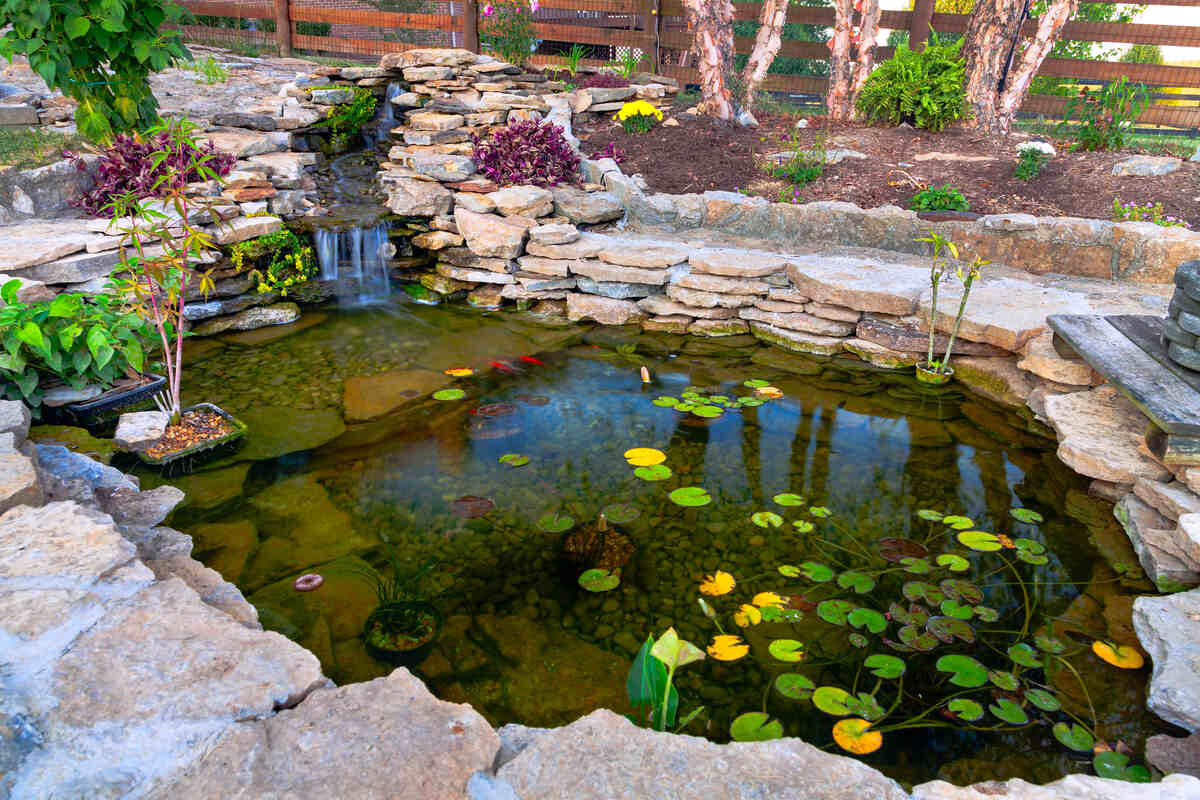 A koi pond with yellow and green leaves in it.