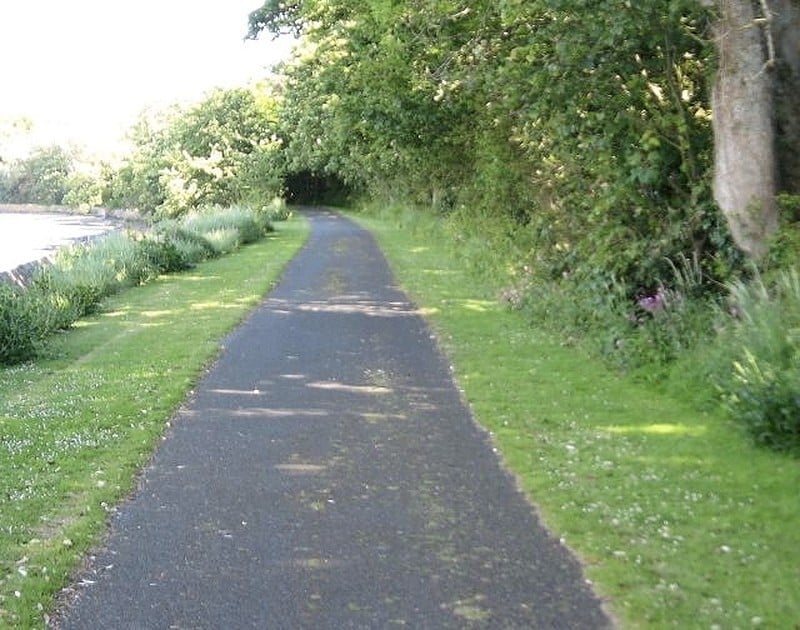 Green Grass Around the Asphalt Walkway