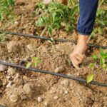 How Much Does Drip Irrigation Cost?
