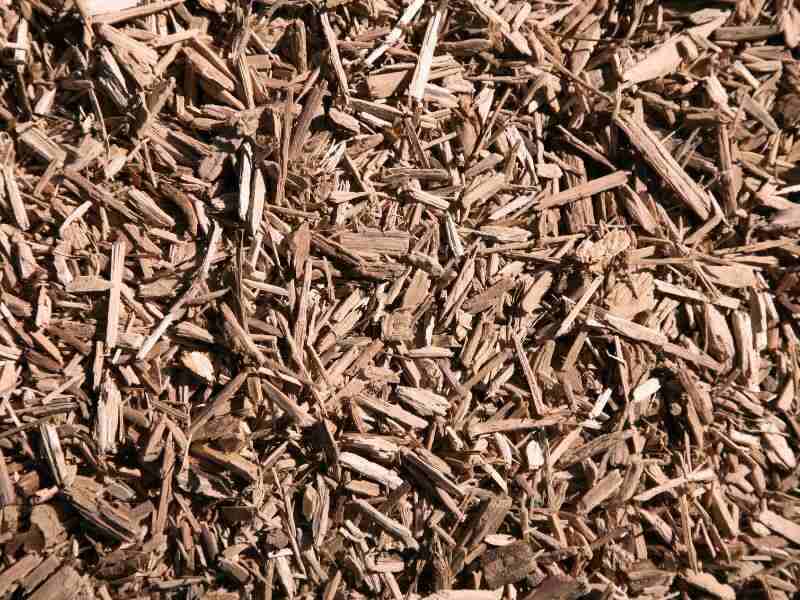 a picture of mulch on ground