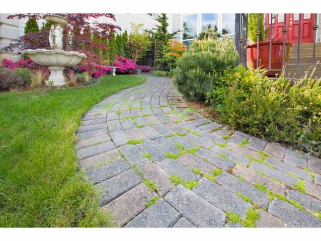 frontyard cement stone paver path