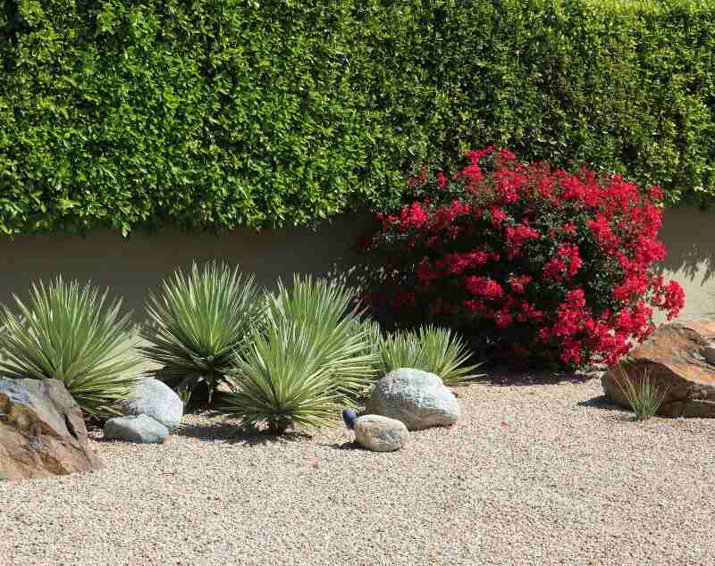 stunning simplicity of a landscaped garden