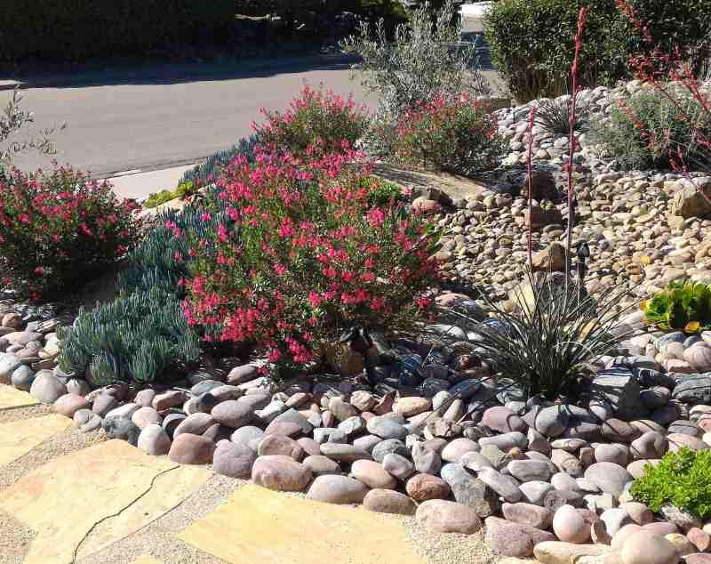 xeriscaped front yard with dry creek bed