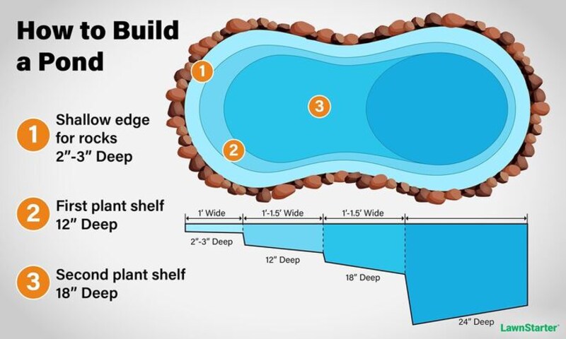 A infographic telling the basic layout of a backyard pon