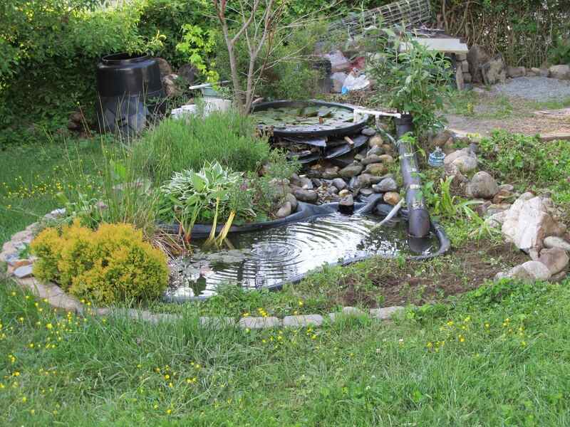 A beautiful backyard pond with grass