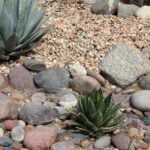 14 Xeriscaping Ideas For Your Yard