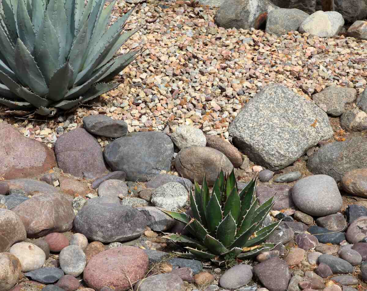 rocks on a xeriscaping garden