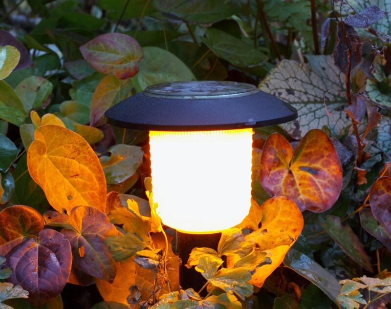 A solar light installed in a garden of a house