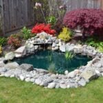How to Build a Small Backyard Pond