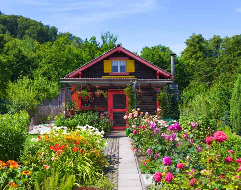 A beautiful garden with colorful flowers and a pathway in between