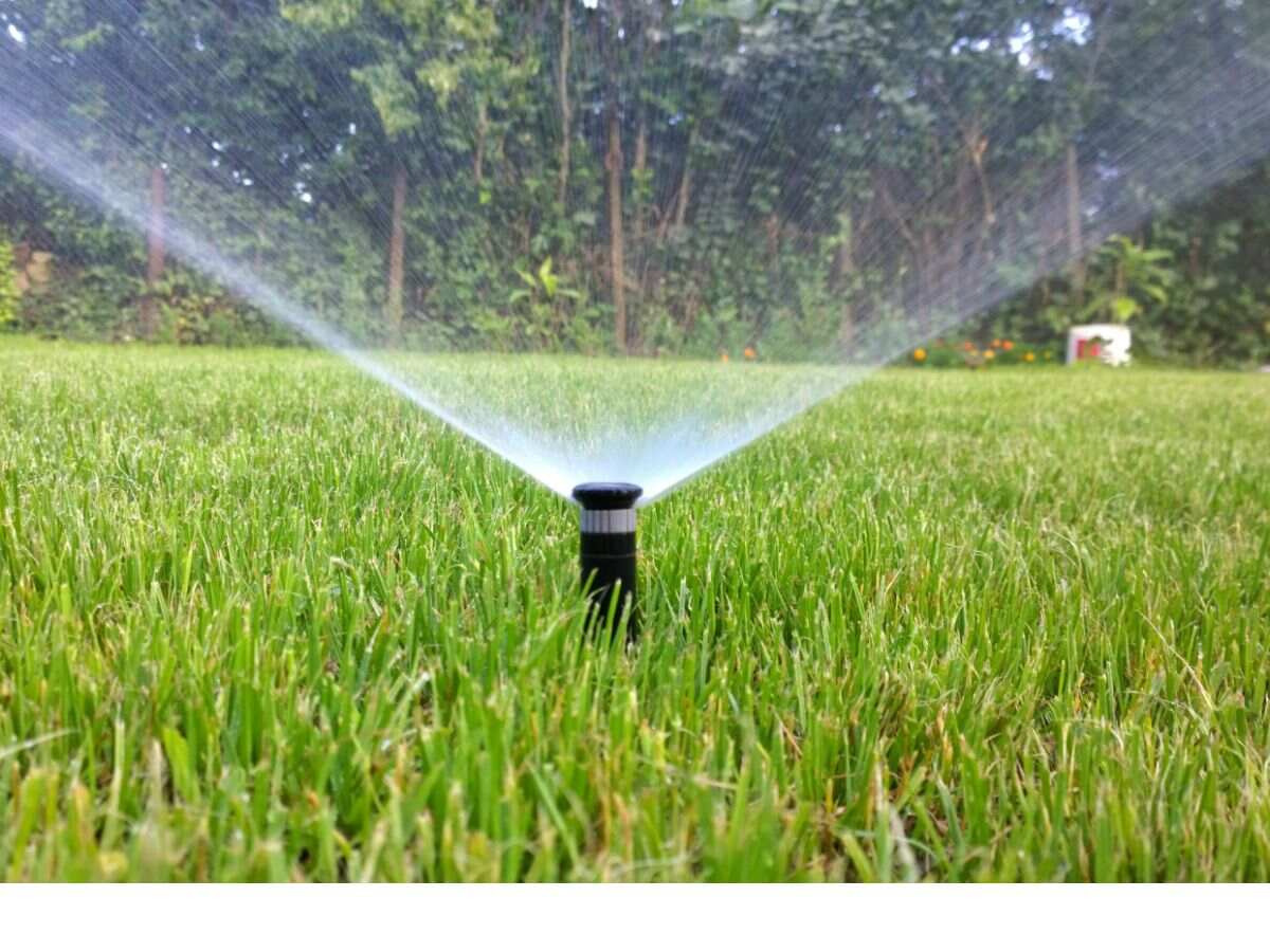 water sprinkler in a garden