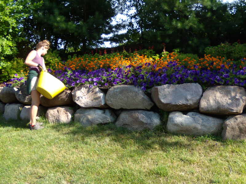 A boulder retaining wall with purple and orange colored flowers on it