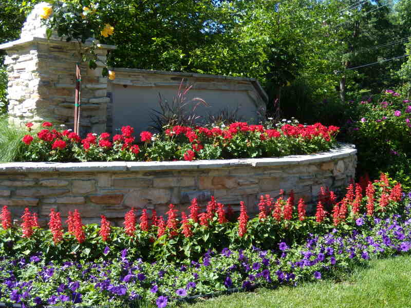 A beautiful stone veneer retaining wall red and purple colored flowers
