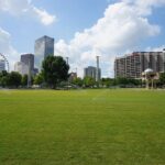 8 Tips for Maintaining Your Lawn in Atlanta, GA
