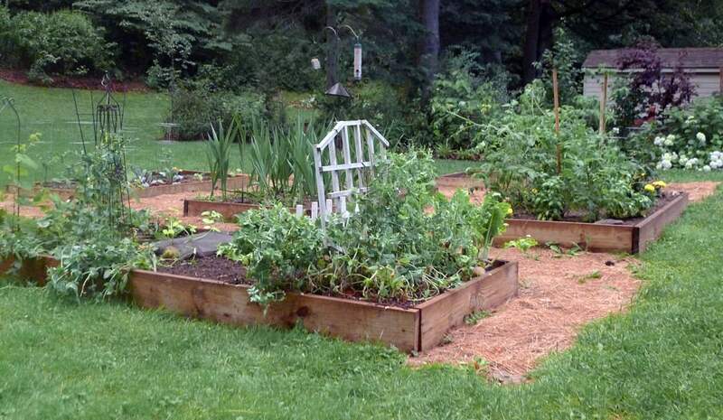 A raised vegetable bed of garden