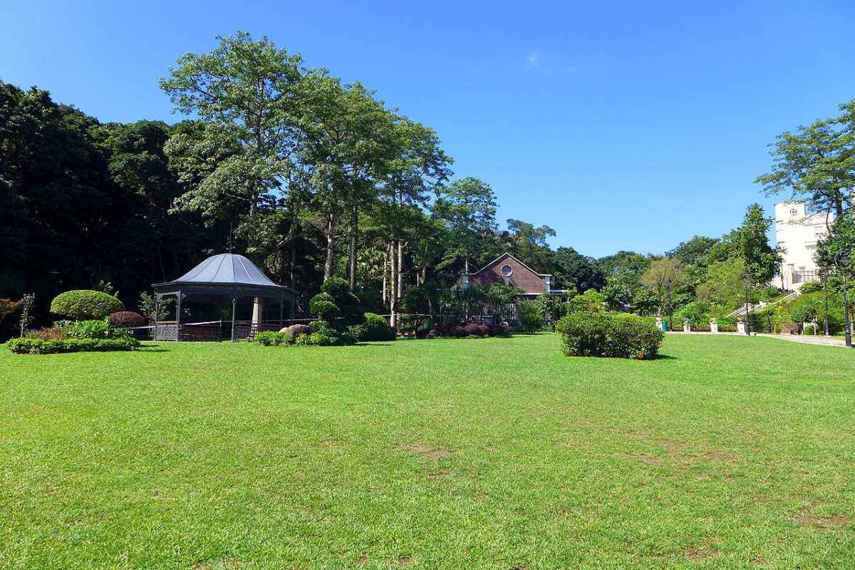 Austin road playground lawn