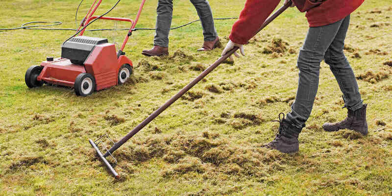 person dethatching a lawn with a dethatcher